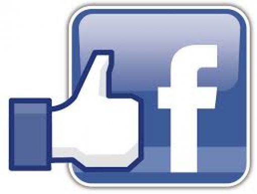 like FB-1